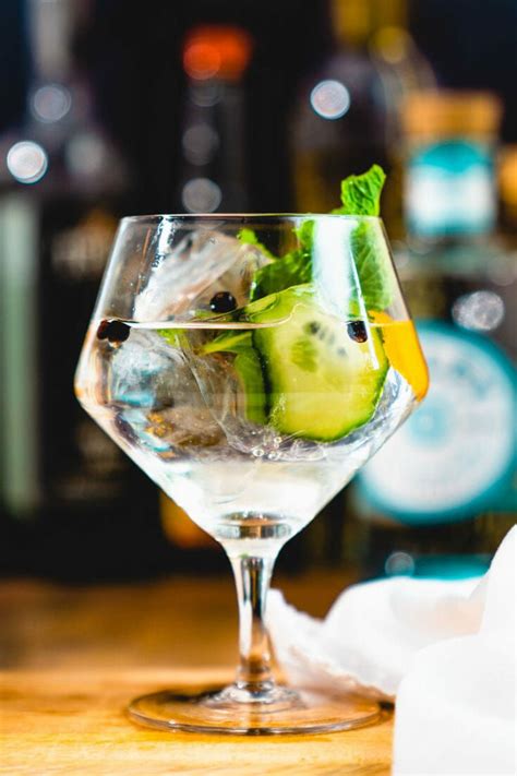 Best Gin and Tonic | Best gin and tonic, Best gin, Best gin cocktails