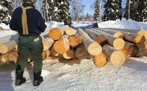 Log Cabin Construction Class 2020 - The Folk School Fairbanks