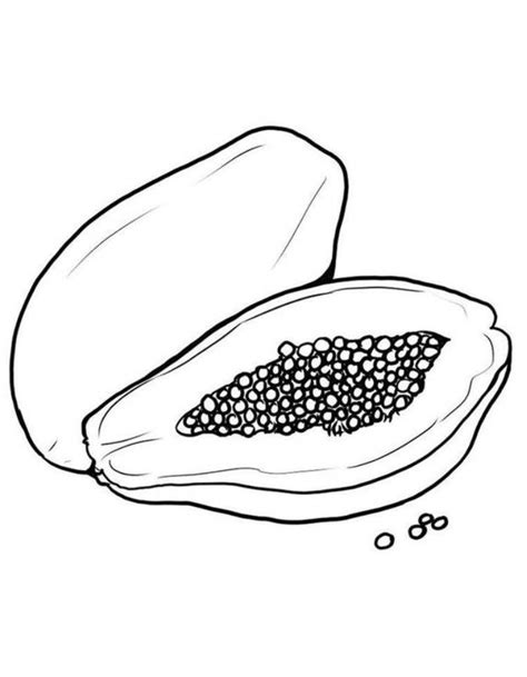 Pawpaw seeds coloring page