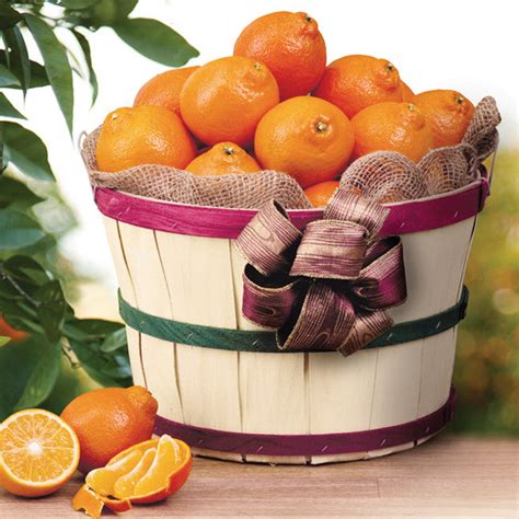 Florida Honeybells Grove Basket Citrus Fruit Gift - Hyatt Fruit Company