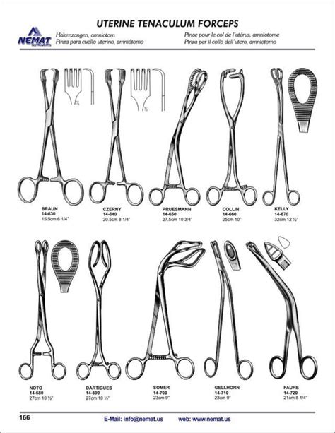 Uterine Tenaculum Forceps | Medical school essentials, Medical ...