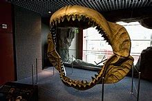 Megalodon - Wikipedia