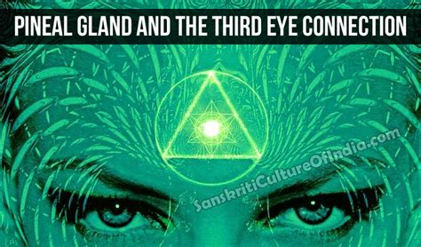 Pineal Gland and the Third Eye Connection