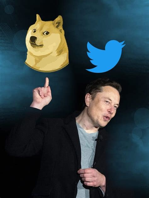 DogeCoin Soars After Elon Musk Changed The Twitter Icon