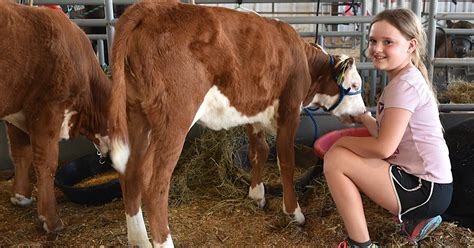 Union County Fair starts Thursday – Creston News