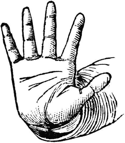 Stop Hand Clipart