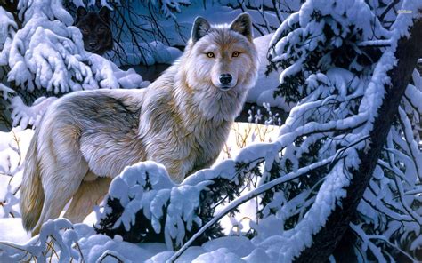 Anime Wolves Wallpapers - Wallpaper Cave