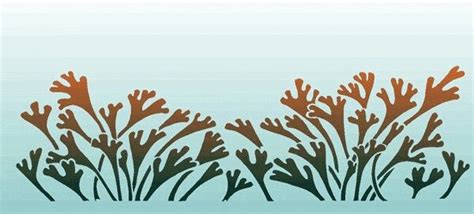 Seaweed | Stencils, Stencil designs, Design