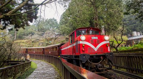 The Alishan Forest Railway - Taiwan Everything