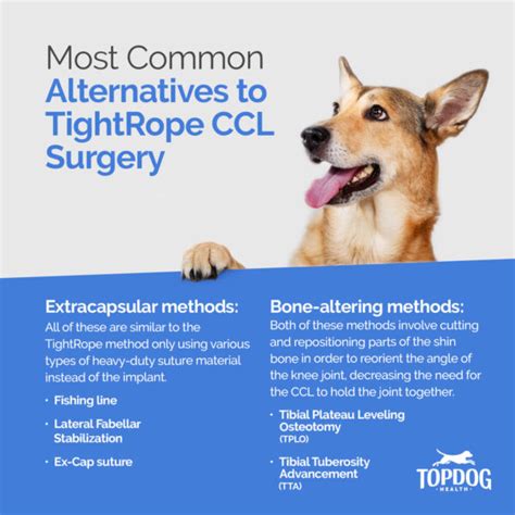 TightRope Surgery for Dogs | TopDog Health