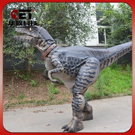 Dinosaur costume velociraptor Realistic life size walking dinosaur costume real raptor suit ...