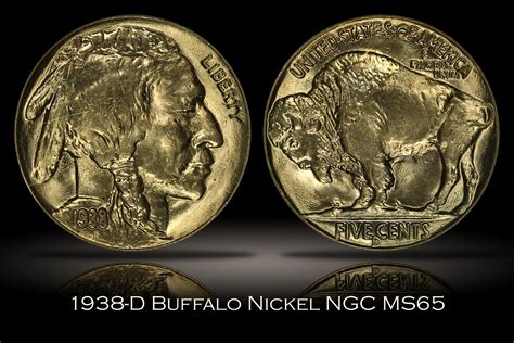 Michael Kittle Rare Coins - 1938-D Buffalo Nickel NGC MS65