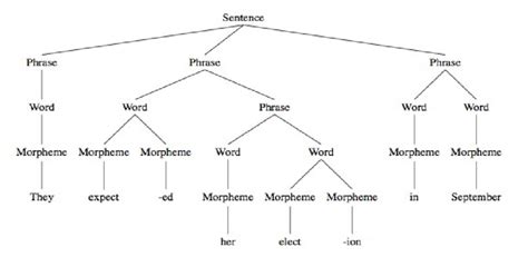 Syntactic tree for example (1). | Download Scientific Diagram