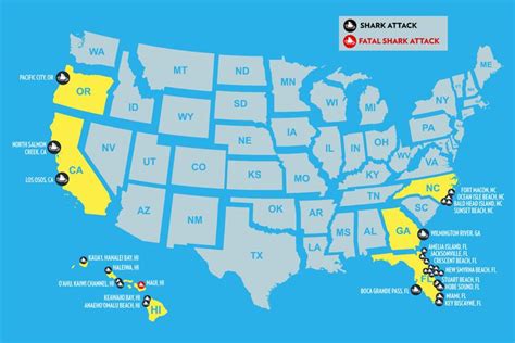 Map of All the U.S. Shark Attacks in 2019
