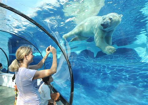 Detroit Zoo Polar Bear Exhibit