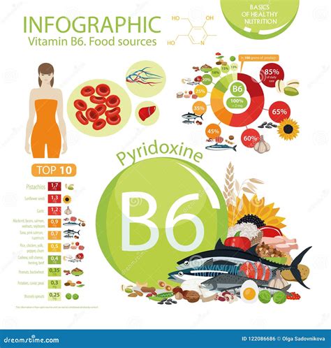 Vitamin B6 Pyridoxine. Natural Organic Foods with High Vitamin Content ...