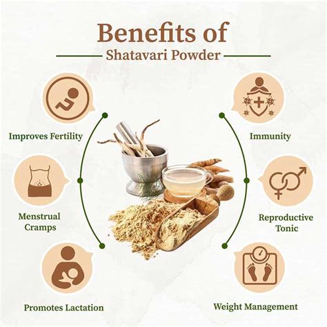 Boost Vitality with Shatavari Powder – Buy Now|Organic Gyaan