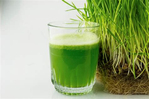 11 Amazing Benefits of Drinking Wheatgrass Juice