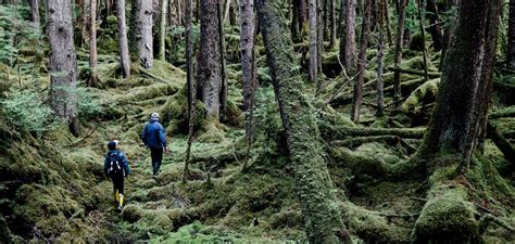 Hiking in BC | Super, Natural BC