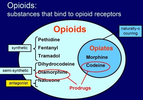 Palliative care and oncology drugs Flashcards | Quizlet