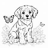 Baixe Filhote Encantador Cercado Pela Natureza Coloring Pages  sketch template