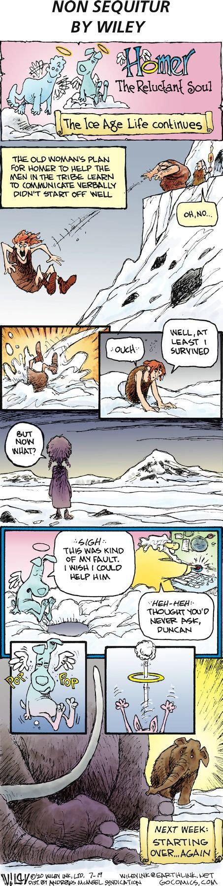 Non Sequitur by Wiley Miller for July 19, 2020 | GoComics.com | Fun ...