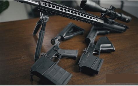 Palmetto State Armory (PSA) AR-10 Gen 3 (.308) Review | [December Updated]