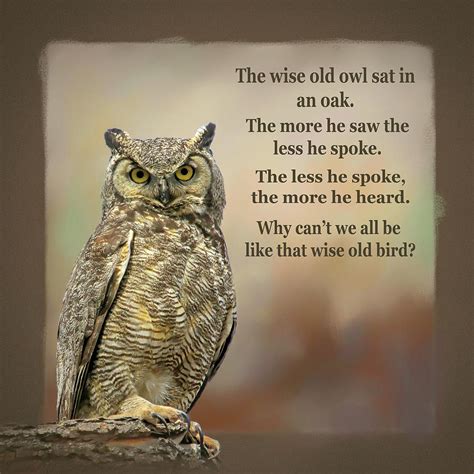 The Wise Old Owl Poem Photograph by Donna Kennedy - Pixels