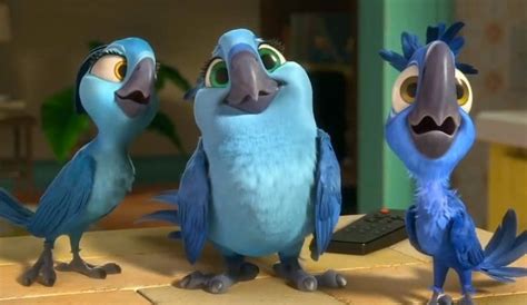 Review: There's No Point to 'Meet the Parrots,' er, 'Rio 2' - Cinephiled