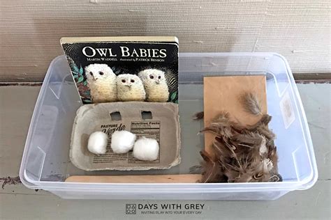 Owl Babies Activity Book Retell - Days With Grey