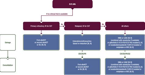 Acute myeloid leukaemia in adult patients: ESMO Clinical Practice Guidelines for diagnosis ...