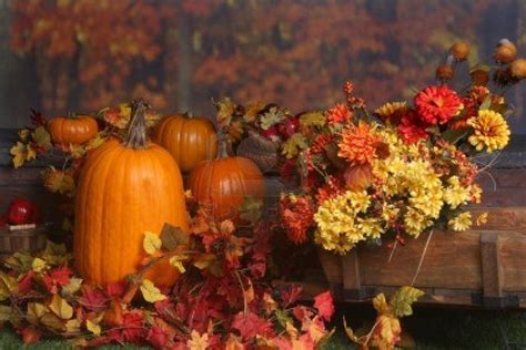 Fall scene with pumpkins and colored leaves Stock Photo - 5661952 Fall ...