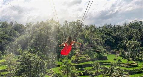 Rice Terrace Swing Ubud Expedition - Bali Star Island