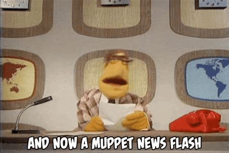 Muppet news flash гифки, анимированные GIF изображения muppet news flash - скачать гиф картинки ...