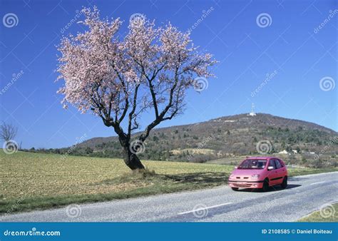 Spring road stock image. Image of europe, sunny, flower - 2108585