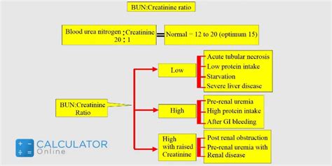 Bun Creatinine Ratio Calculator