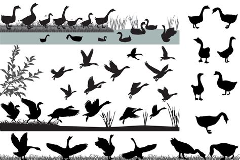 Flock of geese | Graphic illustration, Floating in water, Illustration