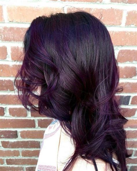 15 Must Have Dark Purple Hair Colour Ideas #curlyhairtrends | Dark purple hair color, Hair ...