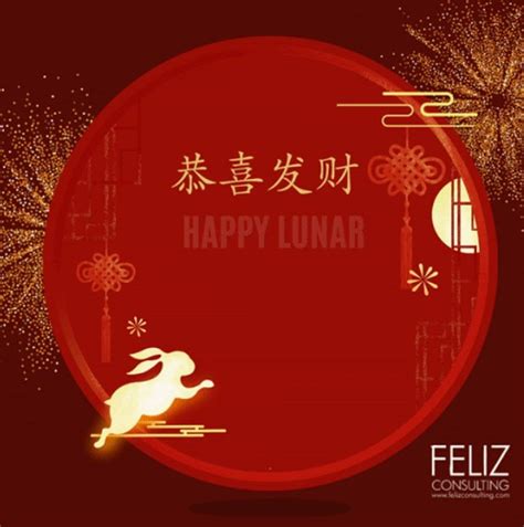 Happy Lunar New Year 2023! — FELIZ Consulting