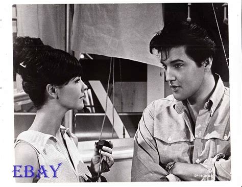 Elvis Presley Shelley Fabares VINTAGE Photo Clambake | eBay in 2021 ...