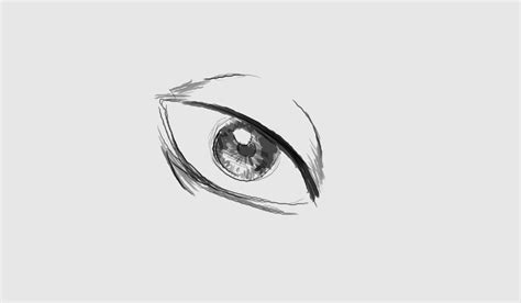 Eye Blinking - Animation Challenge - Bonus Gif by Digitixe on DeviantArt