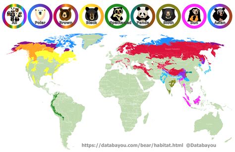 Bear Species Distribution map : r/MapPorn