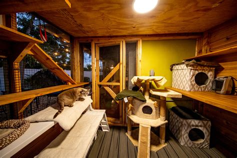 Outdoor Heated Cat House - Cat Topia