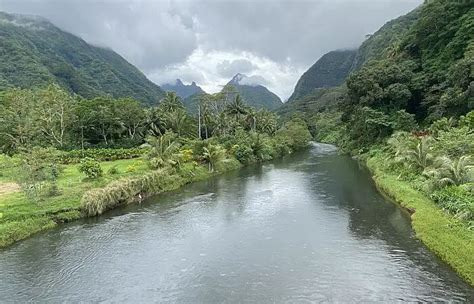 Chasing Gauguin in Tahiti