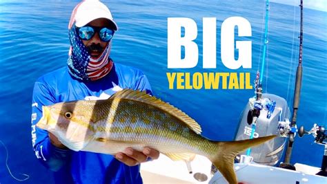 Giant Yellowtail Snapper fishing, PB snapper trip! - YouTube