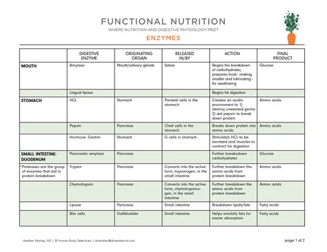 Functional Nutrition - Human Body Detectives