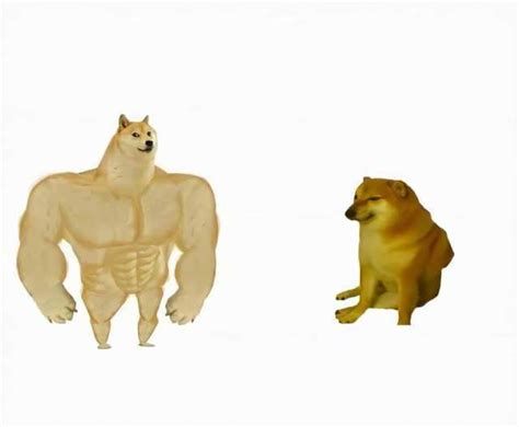 Strong dog vs weak dog Meme Template - Piñata Farms - The best meme ...