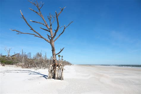 Little Talbot Island State Park