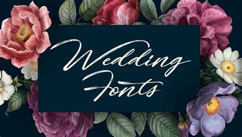105+ Best Wedding Fonts (FREE / Premium) 2024 | Hyperpix
