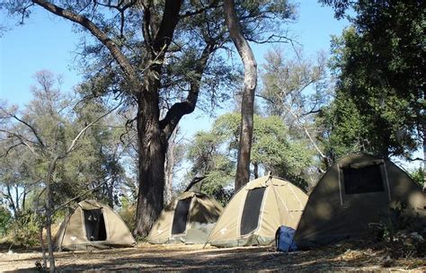 Okavango Delta, Bush Camping, via Flickr. Africa Adventure, Adventure Tours, Adult Literacy ...